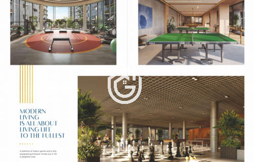 233_Screenshot_2025-08-06_110417