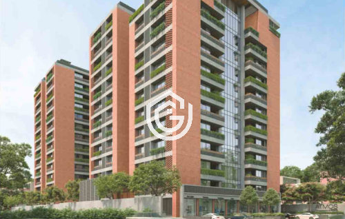 238_Screenshot_2025-08-12_115743